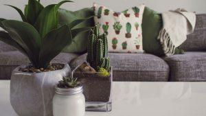 Reforma de casa en Barcelona conectando con la naturaleza