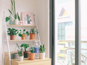 Reforma de casa en Barcelona conectando con la naturaleza